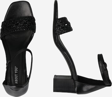 ABOUT YOU Sandals 'Luisa' in Black