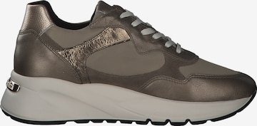 Nero Giardini Sneakers 'I205241D' in Bronze