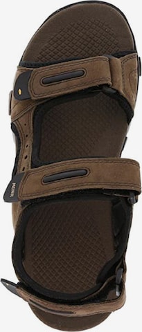 MEINDL Sandals 'Capri' in Brown