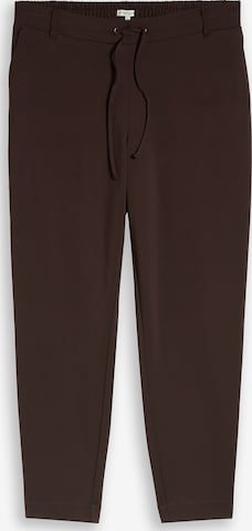 Tom Tailor Women + Ohlapna forma Hlače | rjava barva: sprednja stran