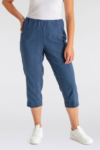 KjBRAND Regular Pants in Blue: front