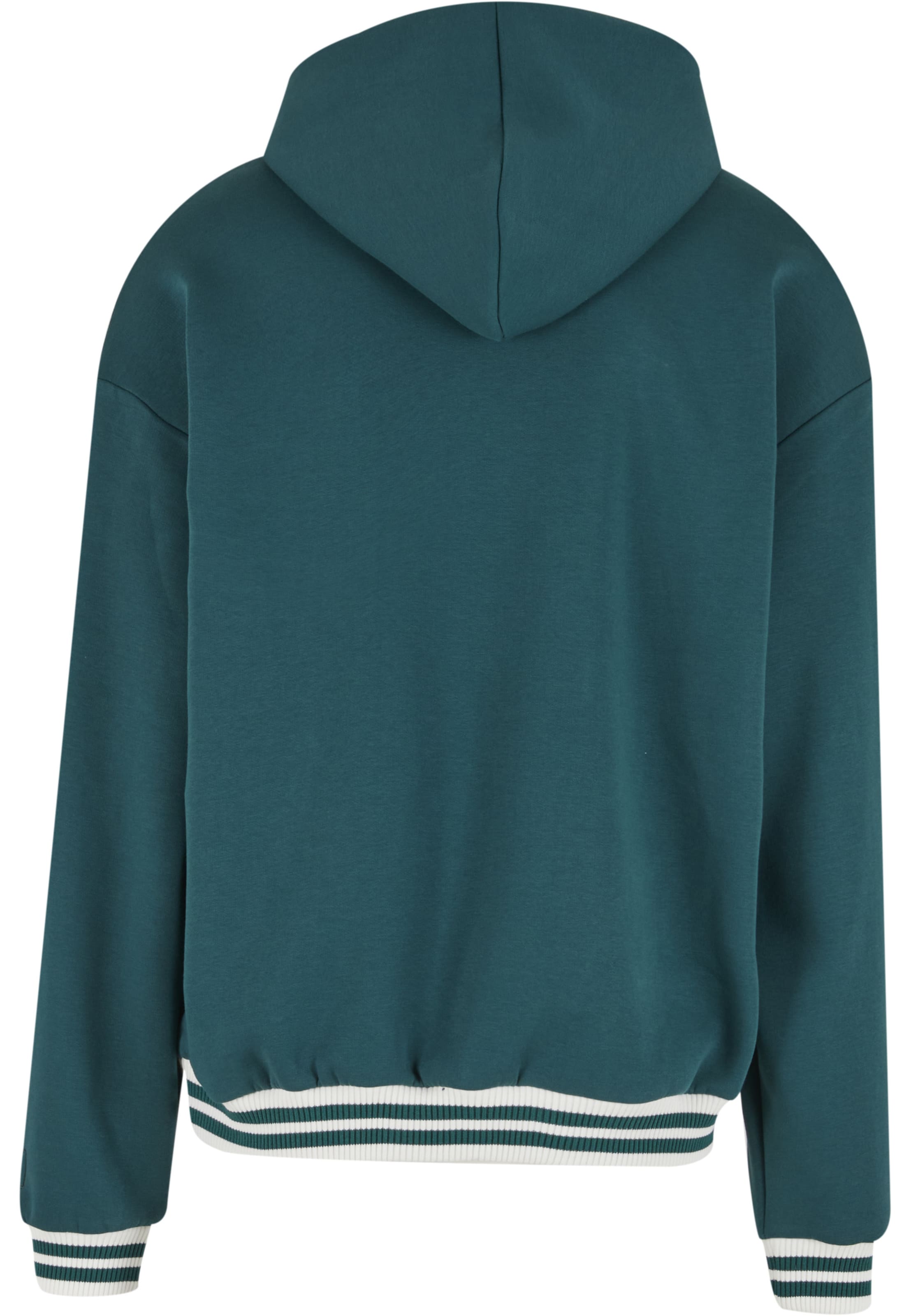 Karl Kani Sweatshirt 'Cursive Varsity' in Grün