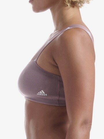 Bustier Soutien-gorge ' Real Cool Cotton ' ADIDAS ORIGINALS en marron