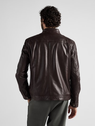 JCC Tussenjas in Bruin