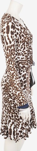 Cavalli Class Dress in XL in Brown