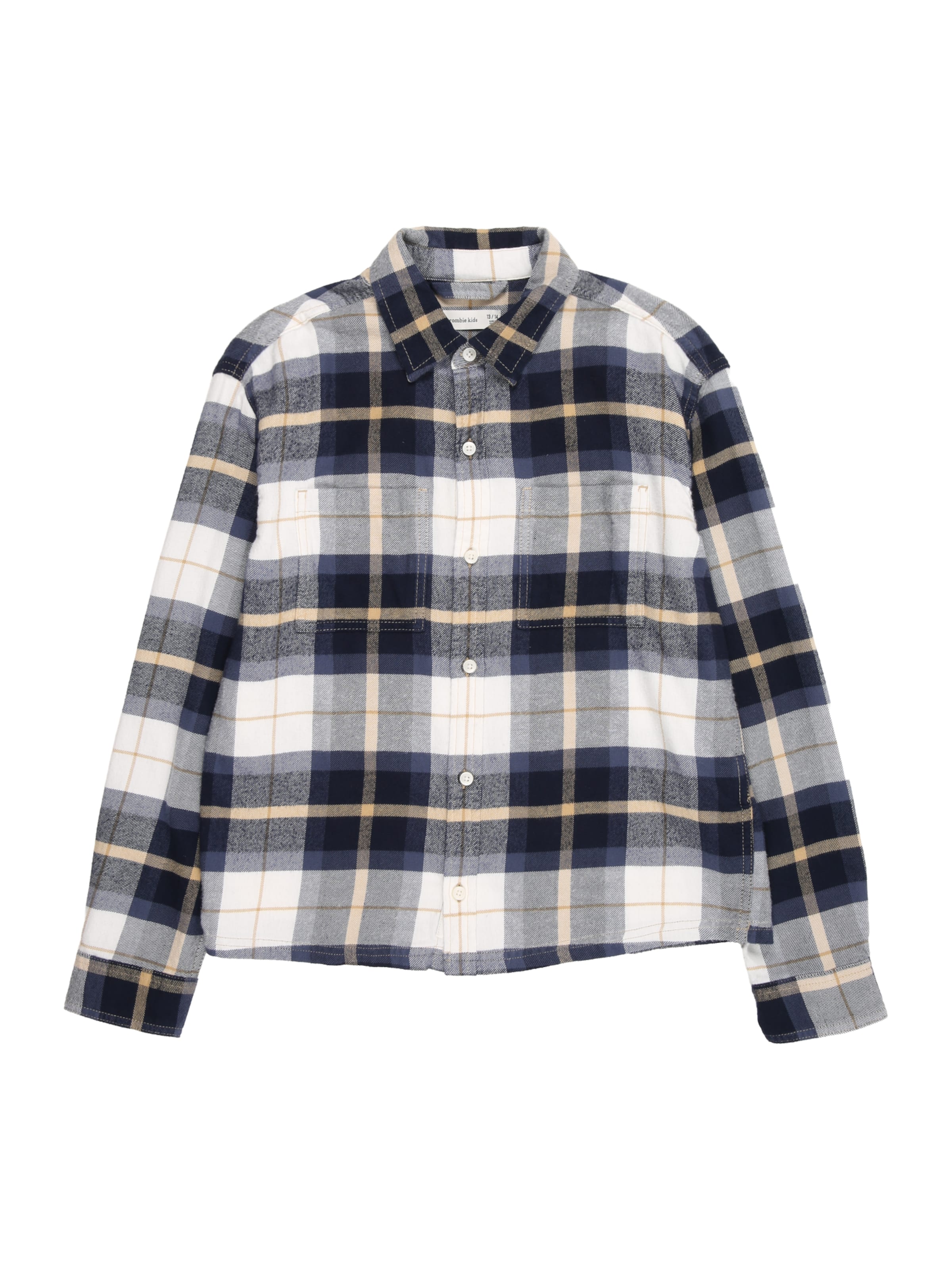 Regular fit Camicia di Abercrombie & Fitch in blu: frontale