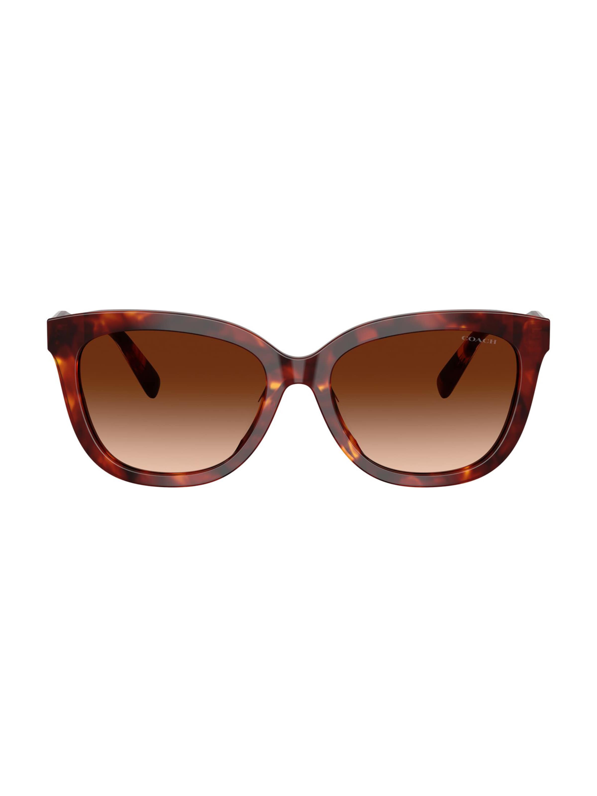 COACH - Gafas de sol 'CDP53' en marrón