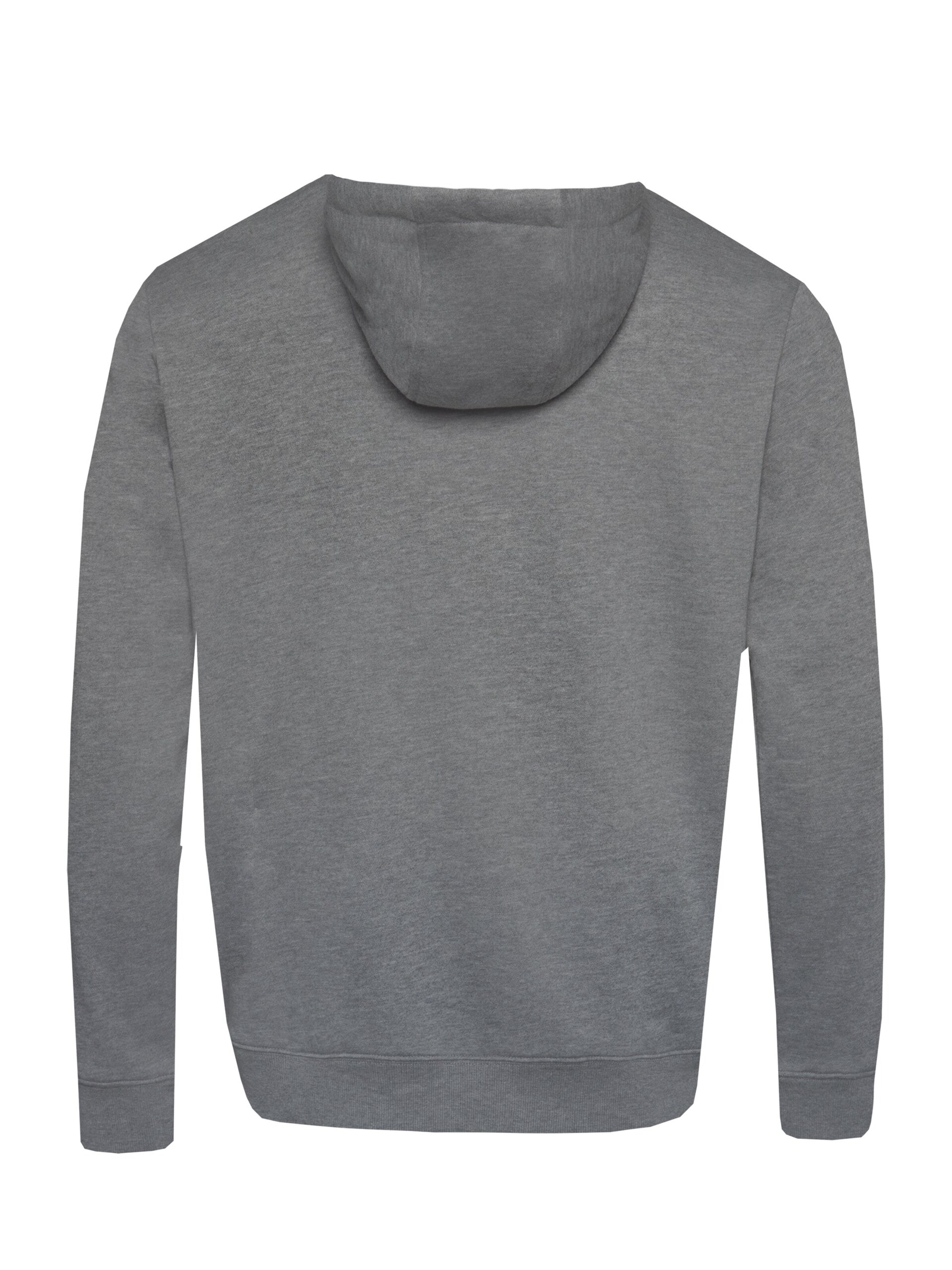 PROTEST Pullover 'CLASSIC LOGO HOODY'‌‌‌‌‌‌‌ in Grau