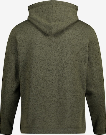 JAY-PI Sweatshirt in Grün