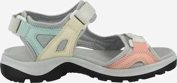 Sandales de randonnée 'Offroad' ECCO en gris