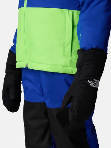 THE NORTH FACE Wanten in Zwart