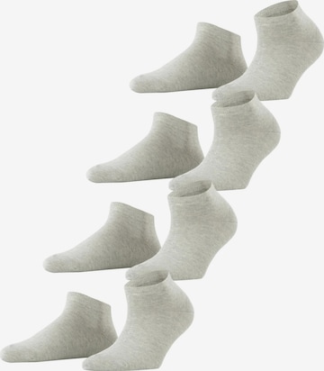 ESPRIT Socken 'Solid 4-Pack' in Grau: Vorderseite
