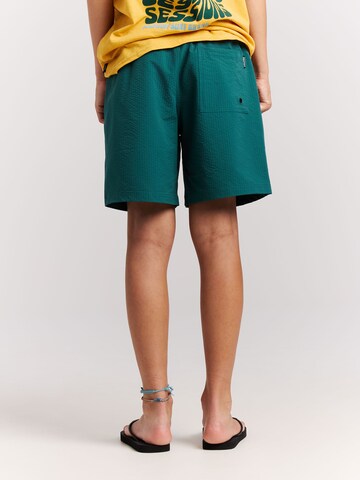 PROTEST Swimming shorts 'PRTYate JR' in Green