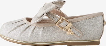 Baker by Ted Baker Ballerina värissä hopea: etupuoli
