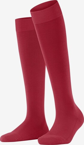 FALKE Kniestrümpfe 'ClimaWool' in Rot: Vorderseite