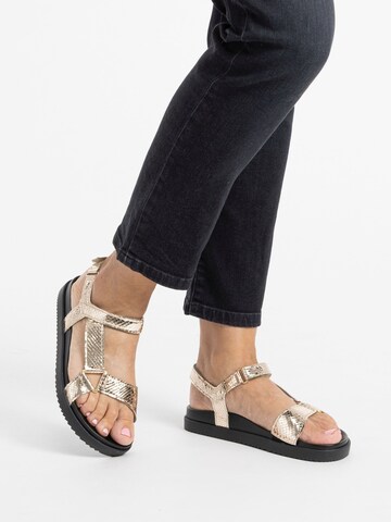 VITAFORM Strap Sandals in Gold: front