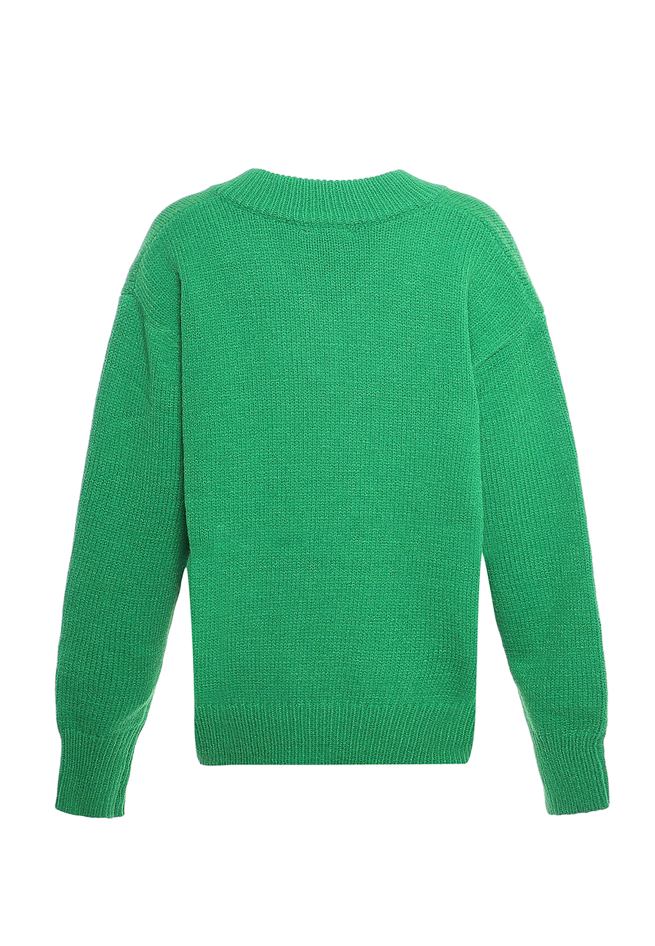 Libbi Pullover in Grün
