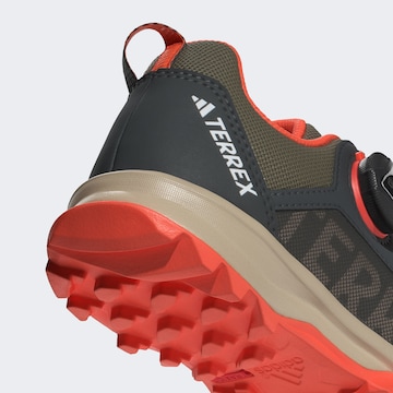 ADIDAS TERREX Sports shoe 'Agravic Boa' in Green