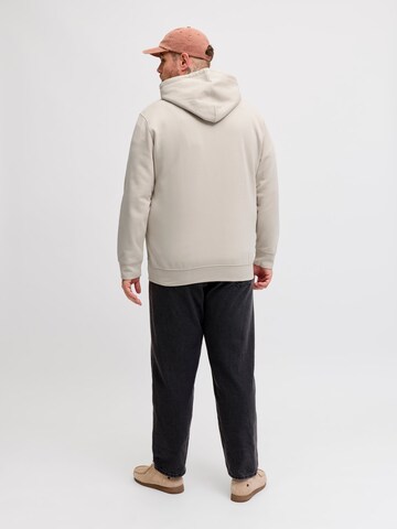 Felpa 'JJESOHO' di Jack & Jones Plus in grigio