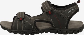 GEOX Hiking Sandals 'Mito' in Black