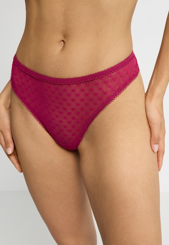 LSCN by LASCANA String i lila: framsida