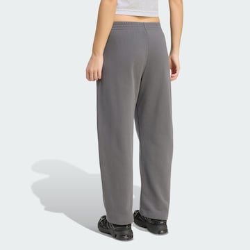 Loosefit Pantaloni sportivi di ADIDAS SPORTSWEAR in grigio