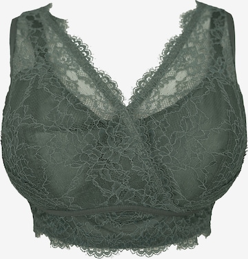 SugarShape Bra in Green: front