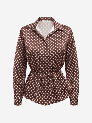 MixRay Blouse in Brown: front