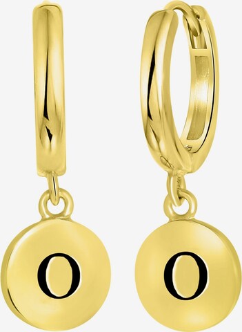 Lucardi Earrings in Gold: front