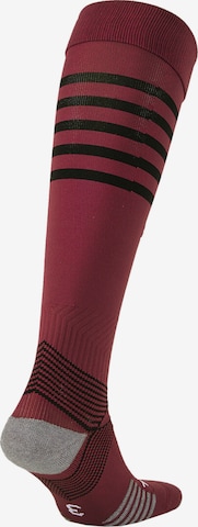 PUMA Soccer Socks in Purple