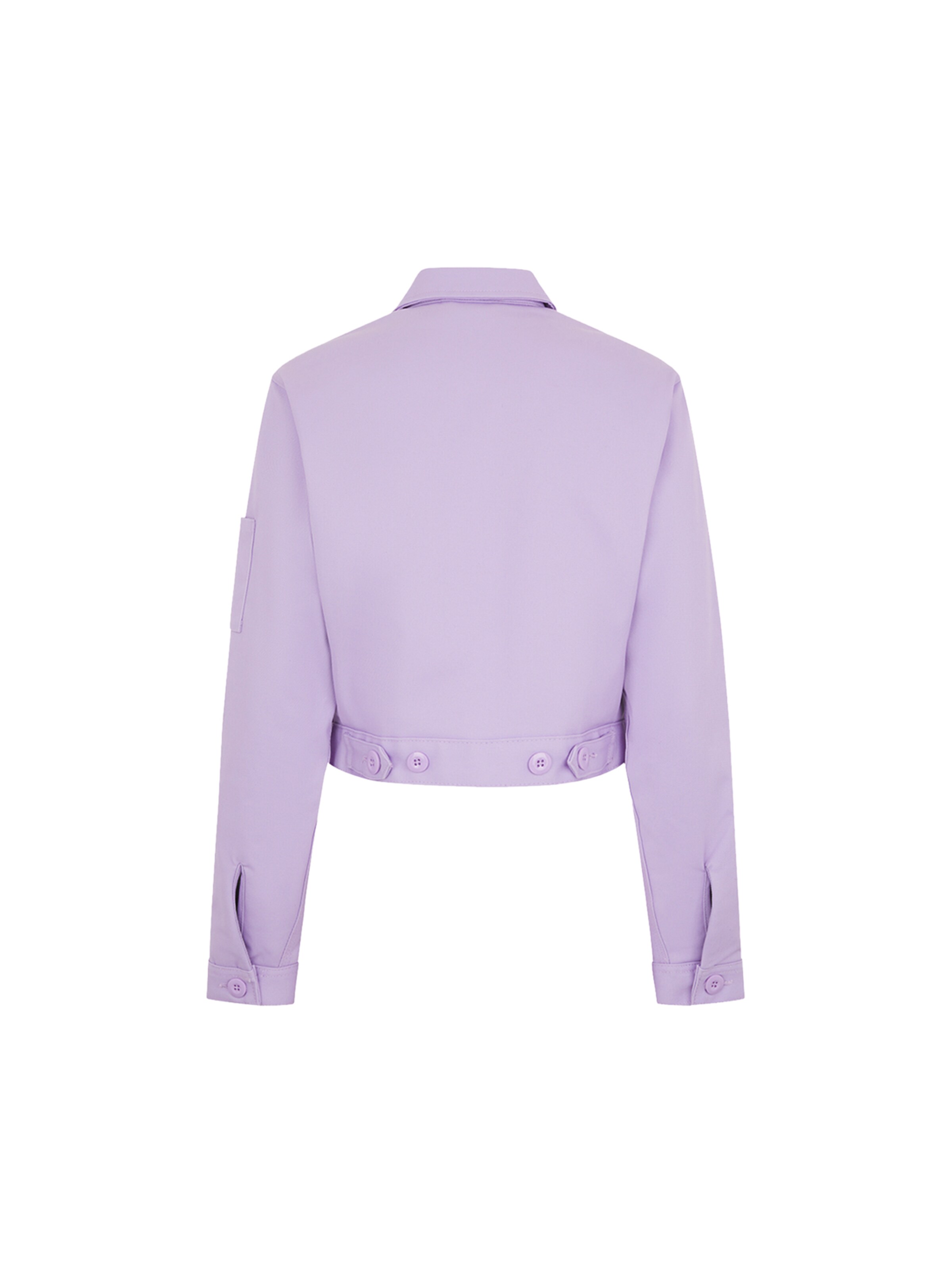 DICKIES Jacket 'Eisenhower' in Lila