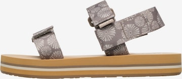 ROXY Sandalen met riem 'Cage' in Grijs: voorkant