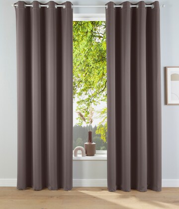 MY HOME Curtains & Drapes 'Solana' in Grey
