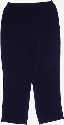 SEIDENSTICKER Pants in XL in Blue: front
