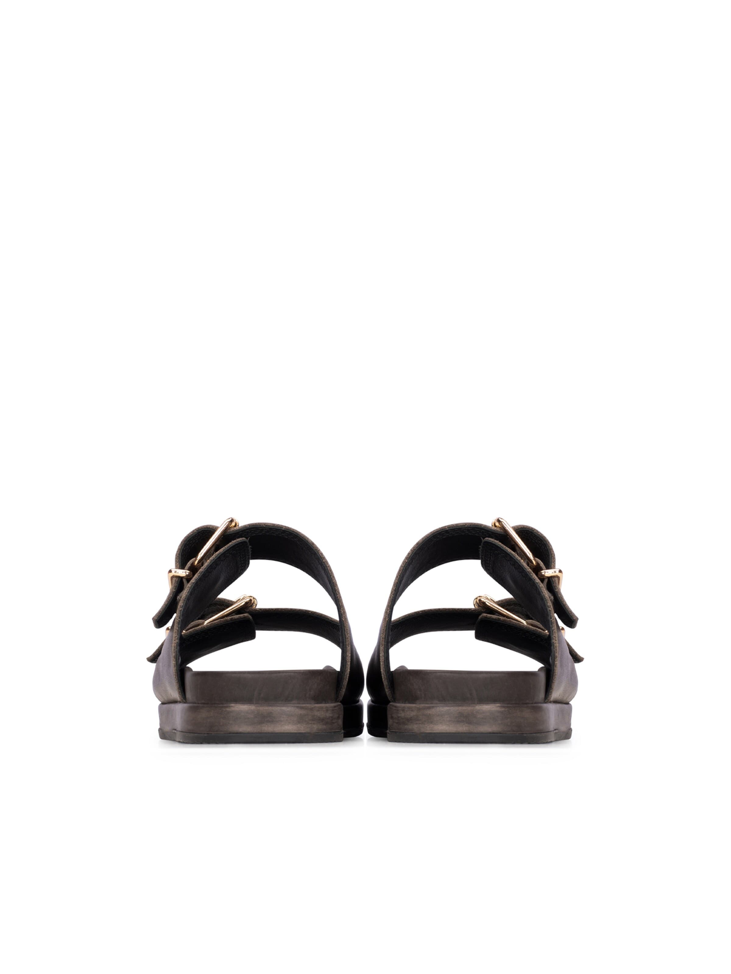 Haboob Mules 'Mag' in Brown