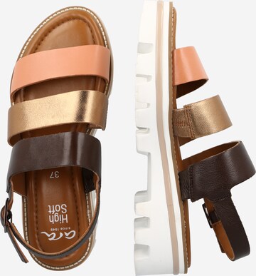 ARA Strap Sandals 'Kopenhagen' in Brown