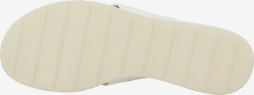 Sandales ' 9-28300-20 ' CAPRICE en blanc