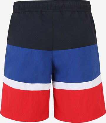Champion Authentic Athletic Apparel Swimming shorts in Blue