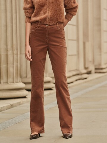 Next Буткат Штаны в Коричневый: спереди