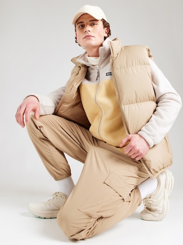 COLUMBIA Funkcionalna jopa iz flisa 'Steens Mountain 2.0' | bež barva