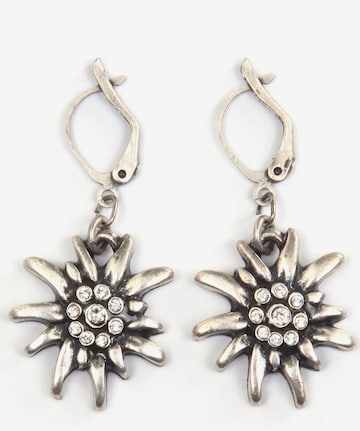 J. Jayz Earrings in Silver: front