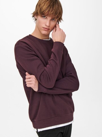 Only & SonsRegular Fit Sweater majica 'Ceres' - ljubičasta boja