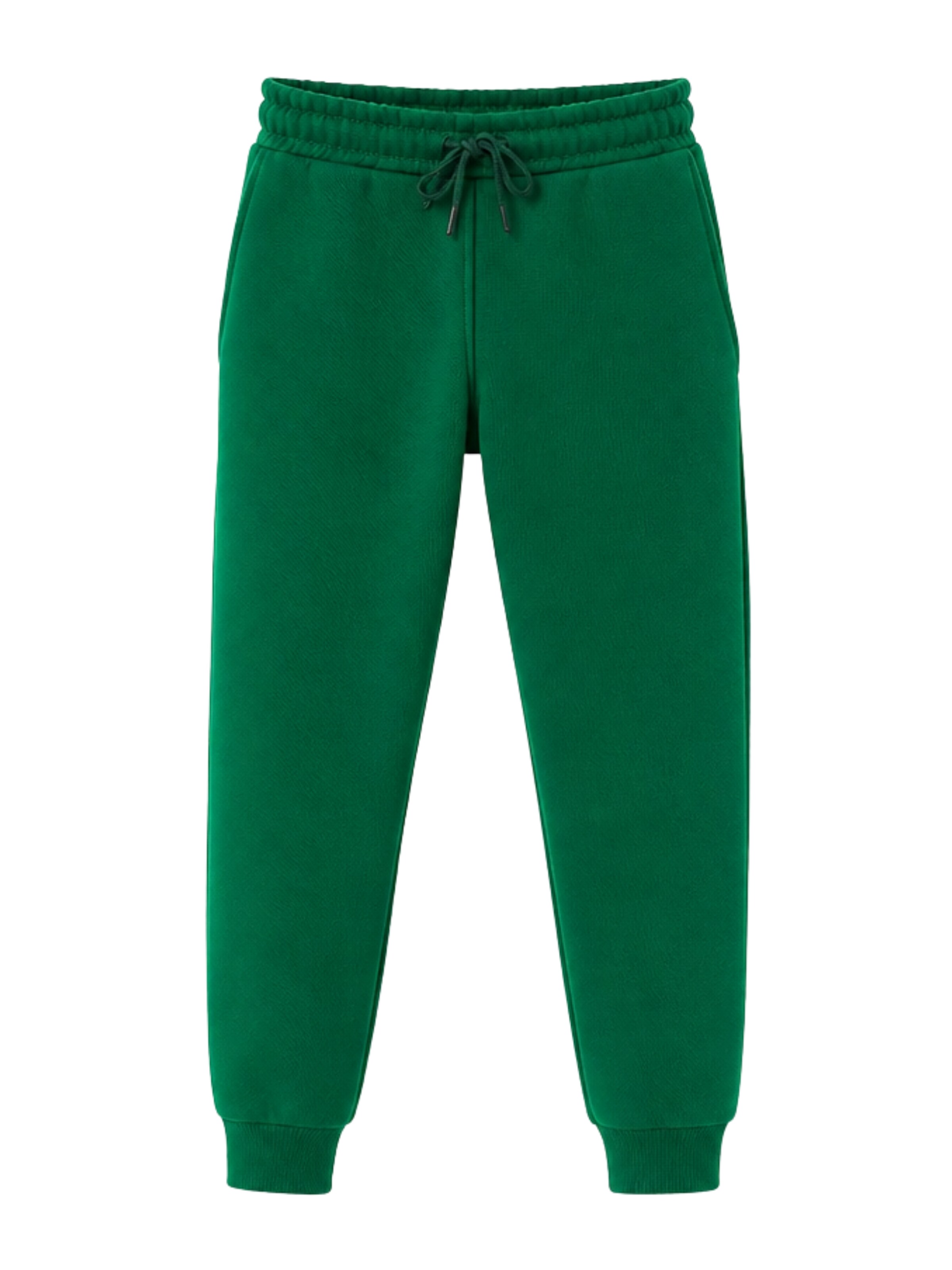 LOUIS LECLER Slimfit Broek 'Sasha' in Groen: voorkant
