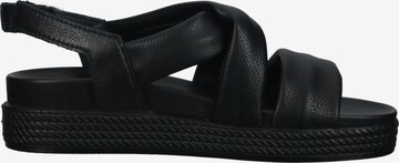 Sandalo con cinturino di IGI&CO in nero