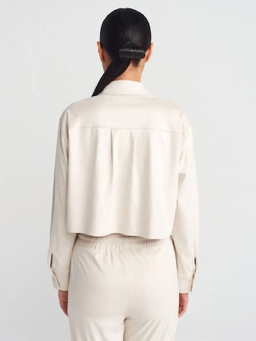 Dilvin Shirt in Beige