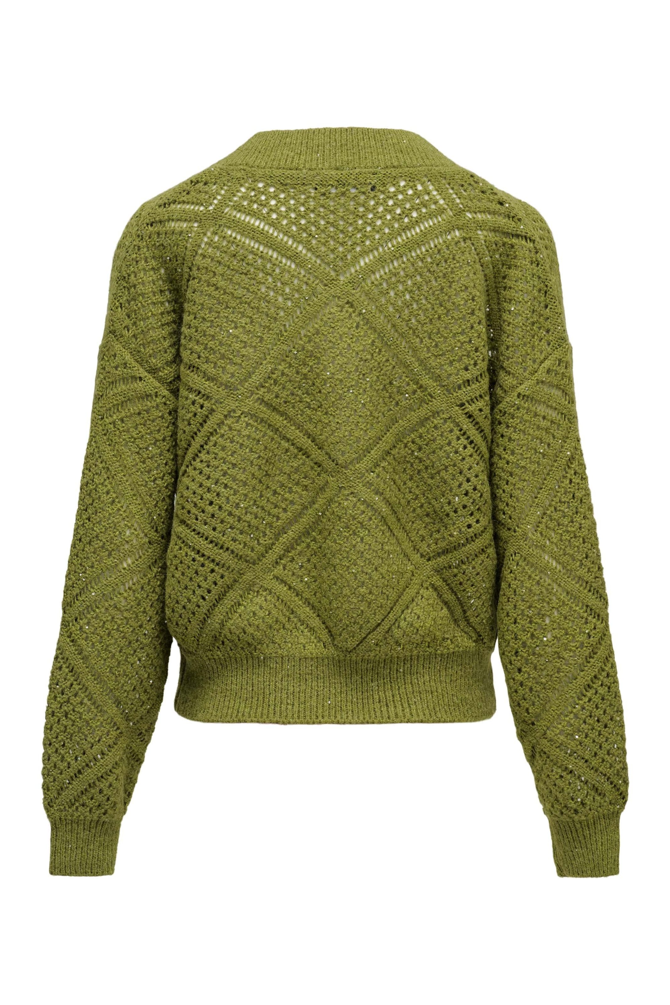 Salsa Jeans Trui in Groen