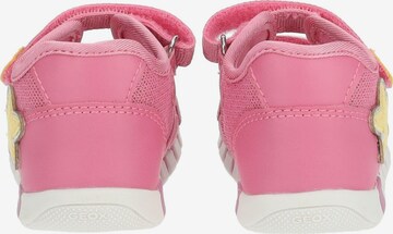 GEOX Sandalen in Roze