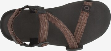 Xero Shoes Sandals 'Z-Trail EV' in Brown