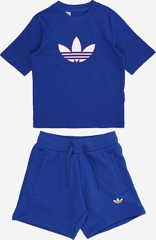 mėlyna ADIDAS ORIGINALS Treningas 'STS': priekis