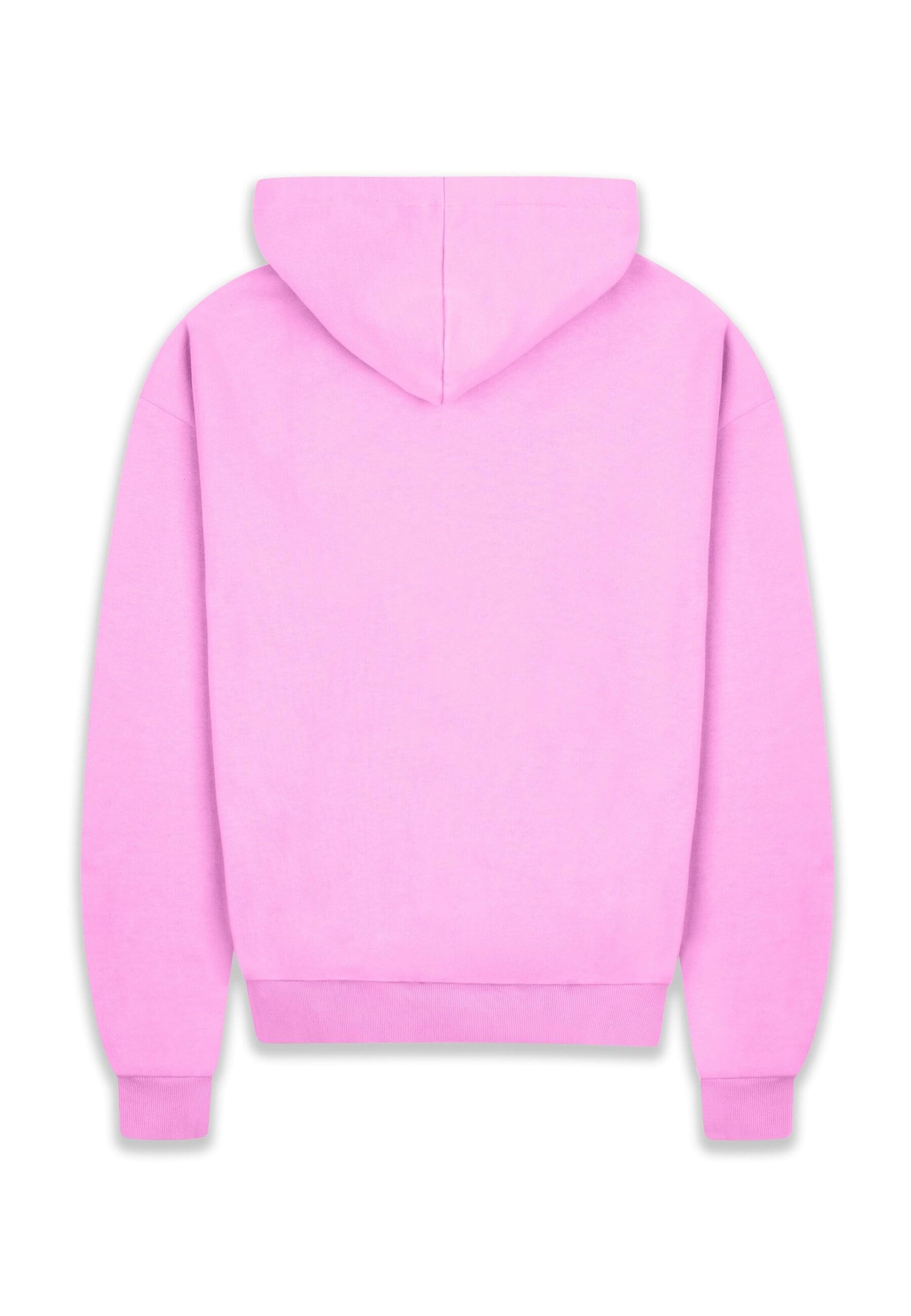 Felpa di Dropsize in rosa